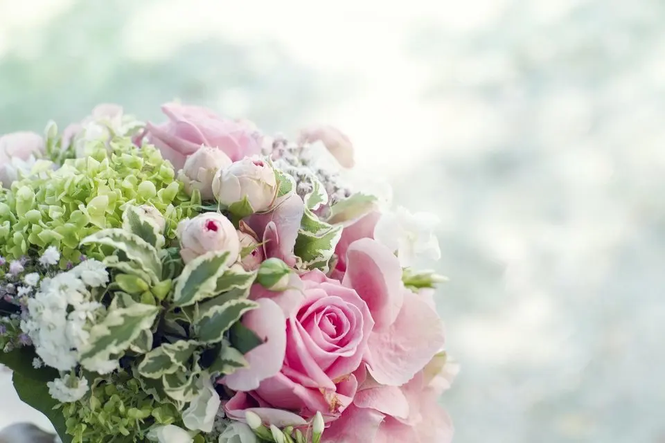 Forever grateful 永遠心存感激 🎈純音樂版 I #原創作品首發 I #OriginalComposition