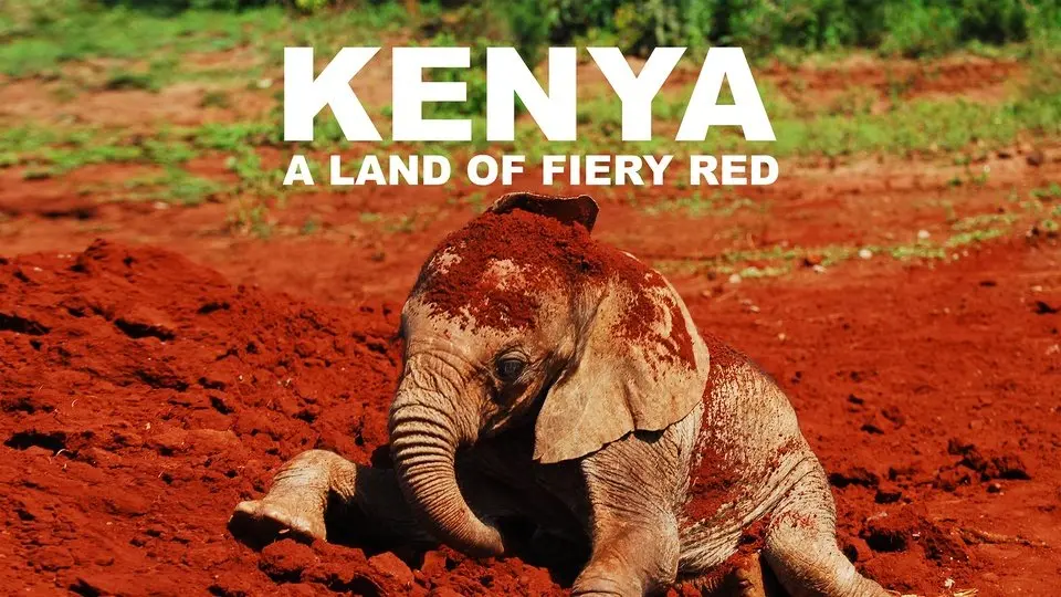 Kenya, A Land of Fiery Red