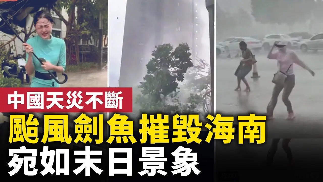 40年来最强台风「剑鱼」，横扫海南三亚！高楼摇晃，门窗吹烂，屋顶掀翻，树木连根拔起！ #人民报