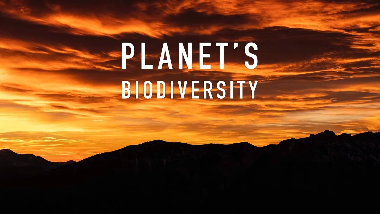 Planet's Biodiversity