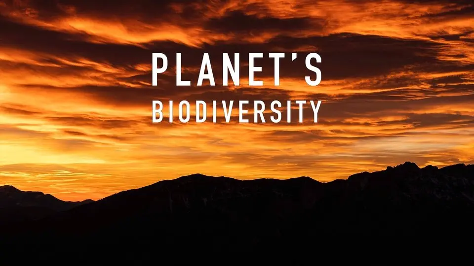 Planet's Biodiversity
