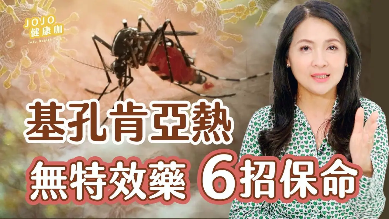 基孔肯亞熱亞洲爆發！蚊媒傳染不可輕忽！4大高危族群防蚊自救必看！｜健康1+1 · 影片